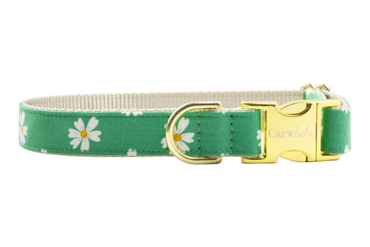 Daisy Meadow Bow Tie Collar