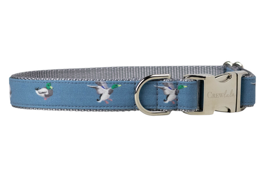 Dapper Duck Dog Collar - Crew LaLa
