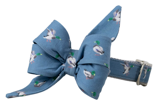 Dapper Duck Belle Bow Dog Collar - Crew LaLa