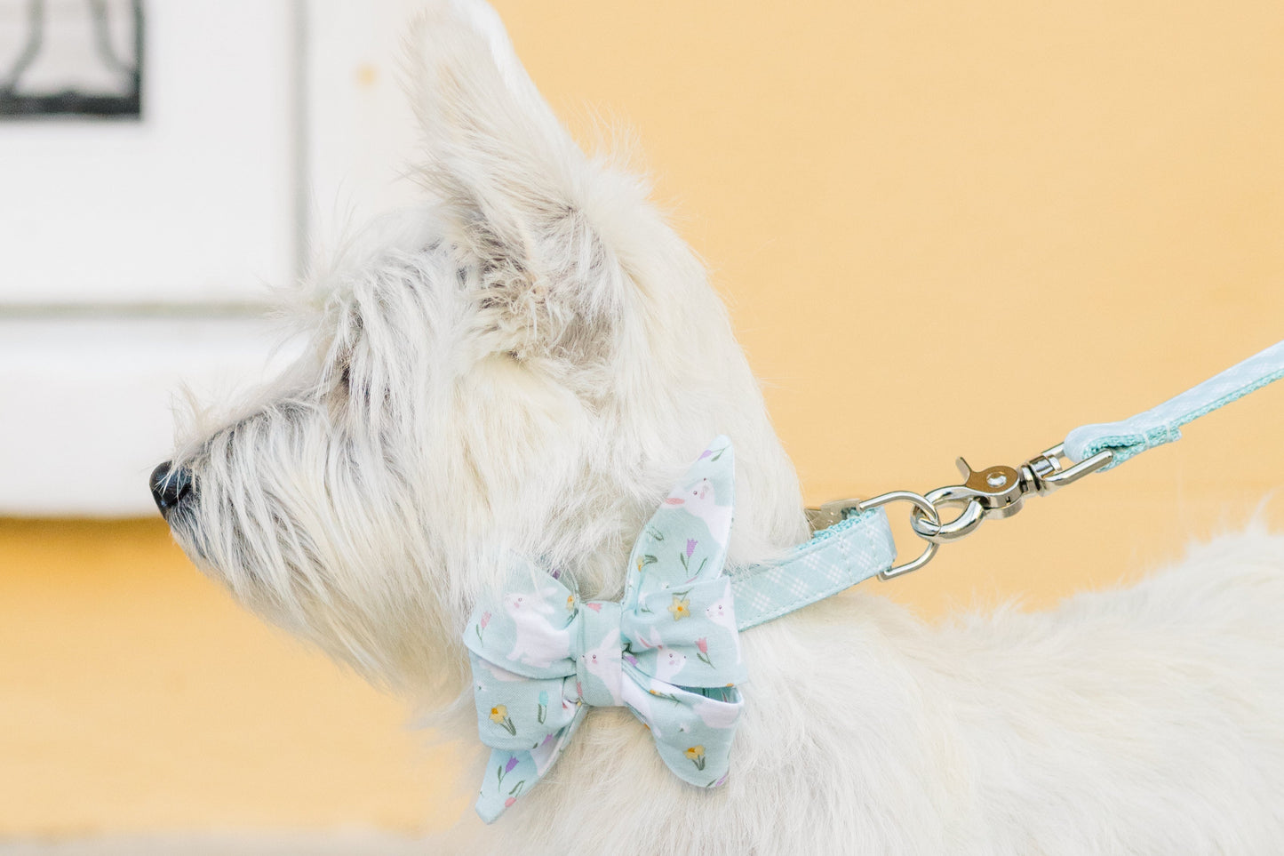 Bunny Tales Belle Bow Dog Collar