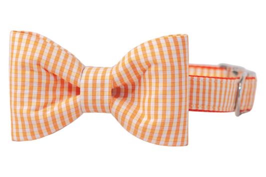 Sunny Gingham Bow Tie Dog Collar - Crew LaLa