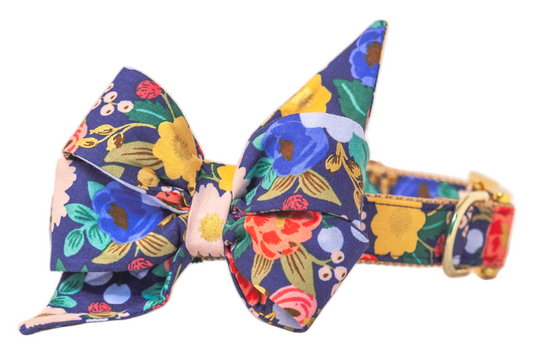 Midnight Floral Belle Bow Dog Collar - Crew LaLa
