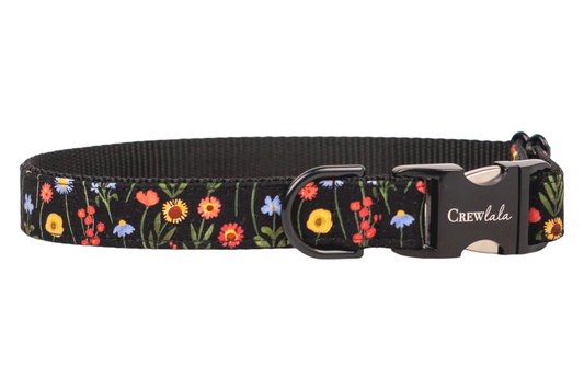 Blooms on Black Dog Collar - Crew LaLa