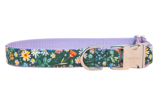 Bloom Time Dog Collar - Crew LaLa