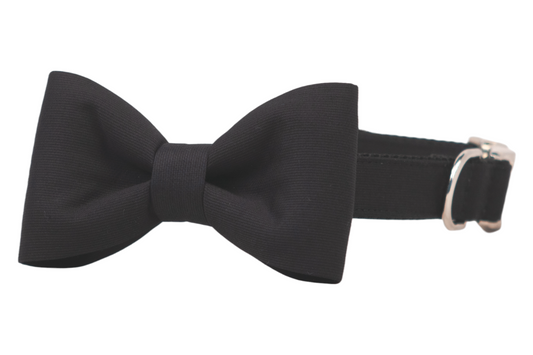 Black Tie Woven Bow Tie Walking Set - Crew LaLa