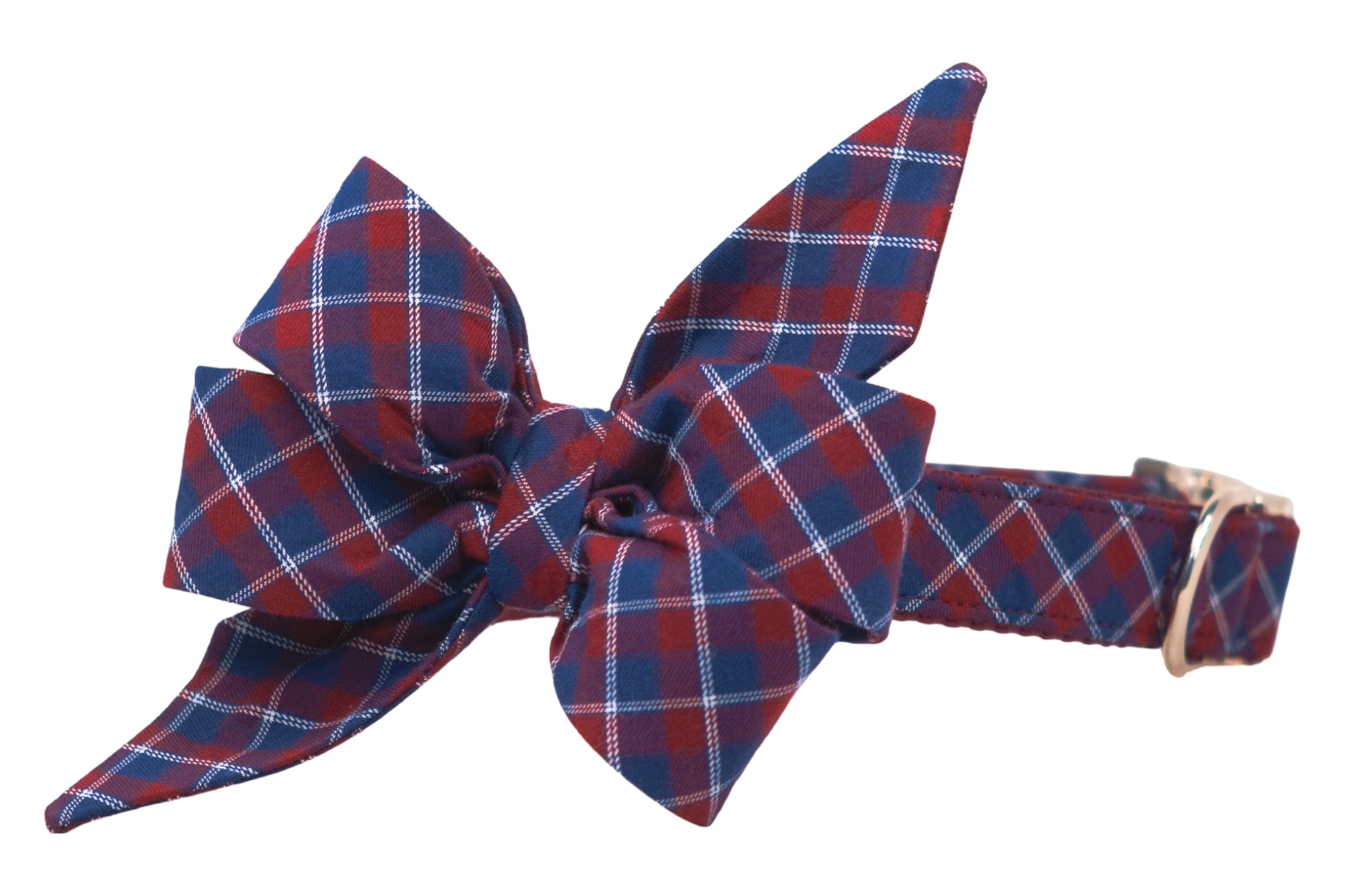 Country Club Belle Bow Dog Collar - Crew LaLa