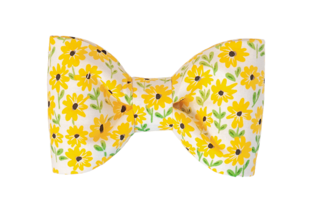 Drews Daisies Bow Tie