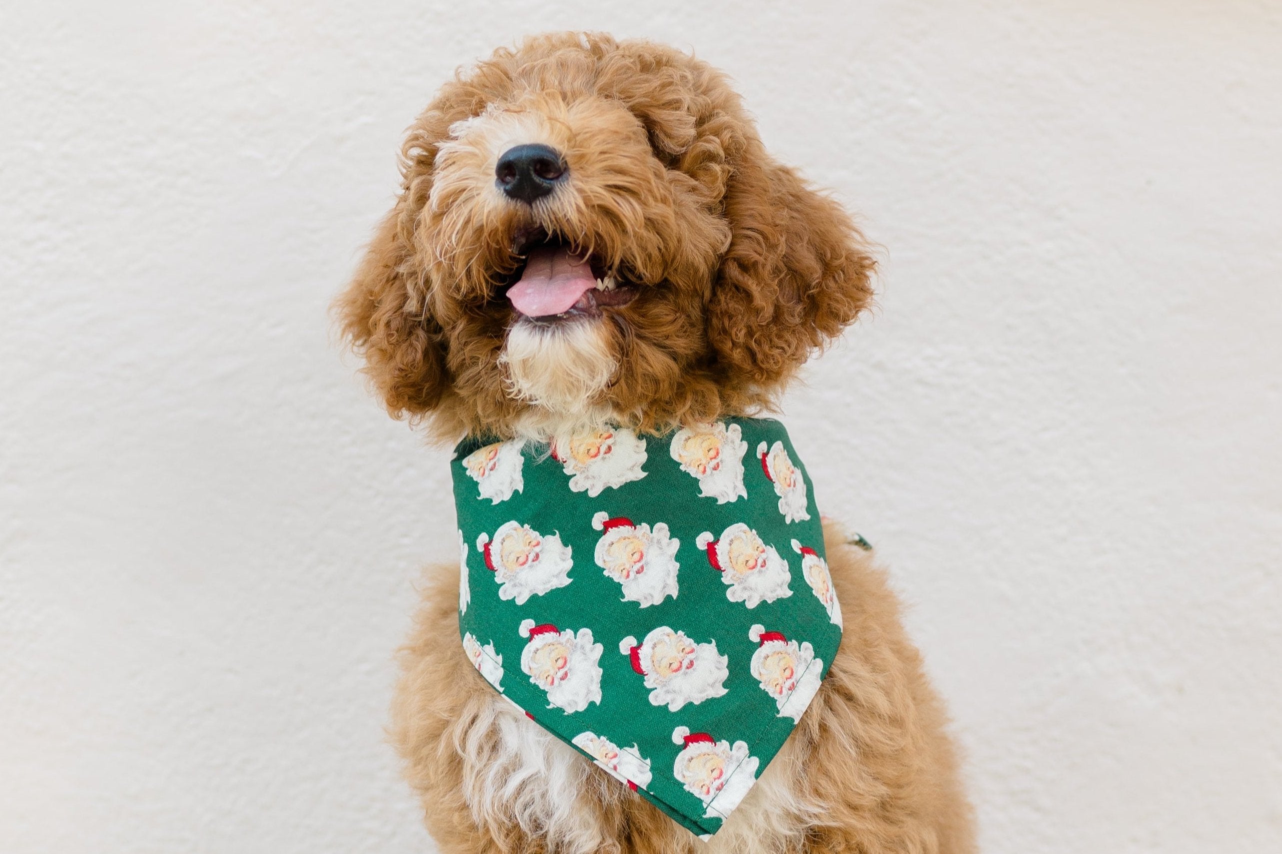 Jolly St. Nick Dog Bandana - Crew LaLa
