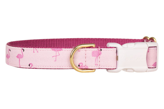 Flamingo Fun Dog Collar