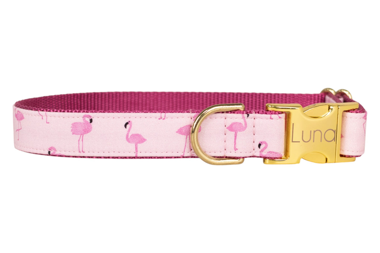 Flamingo Fun Dog Collar