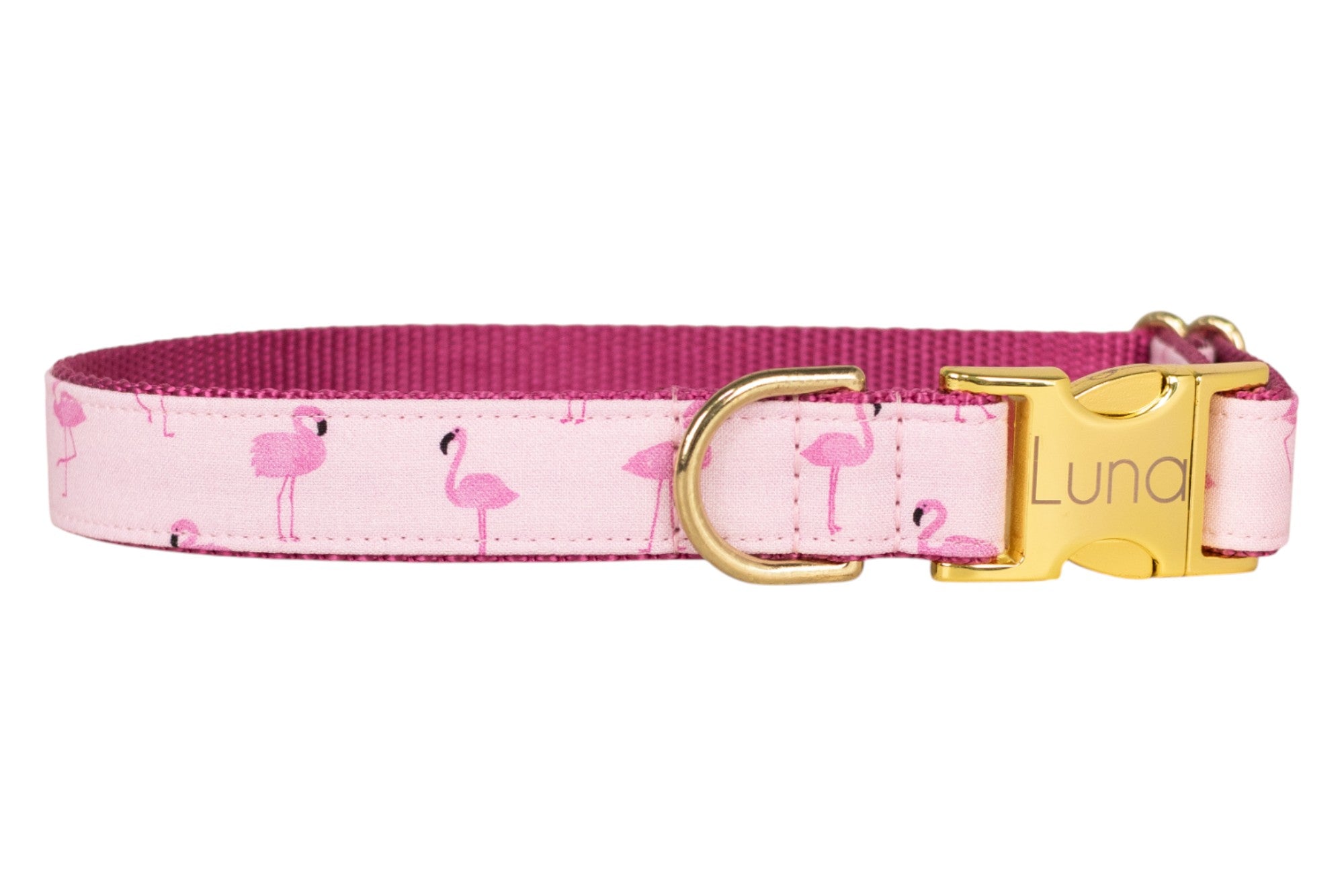 Flamingo Fun Dog Collar - Crew LaLa