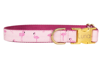 Flamingo Fun Belle Bow Dog Collar - Crew LaLa