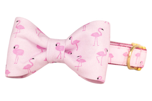 Flamingo Fun Bow Tie Dog Collar
