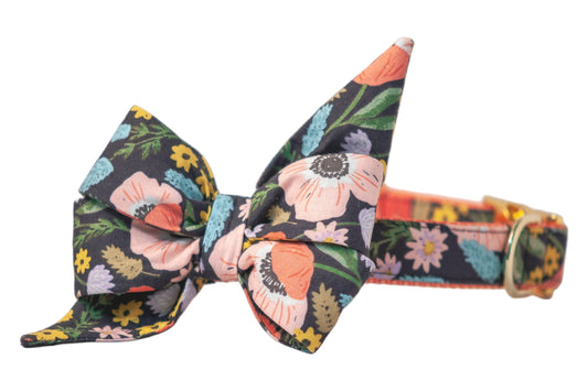 Molly's Garden Belle Bow Dog Collar - Crew LaLa