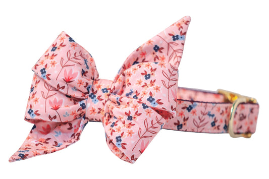 Autumn Fields Belle Bow Dog Collar - Crew LaLa