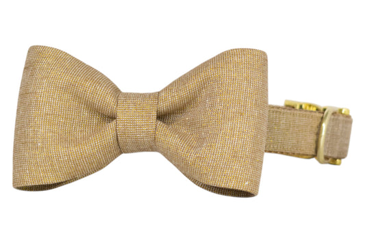 Golden Glitter Bow Tie Dog Collar - Crew LaLa