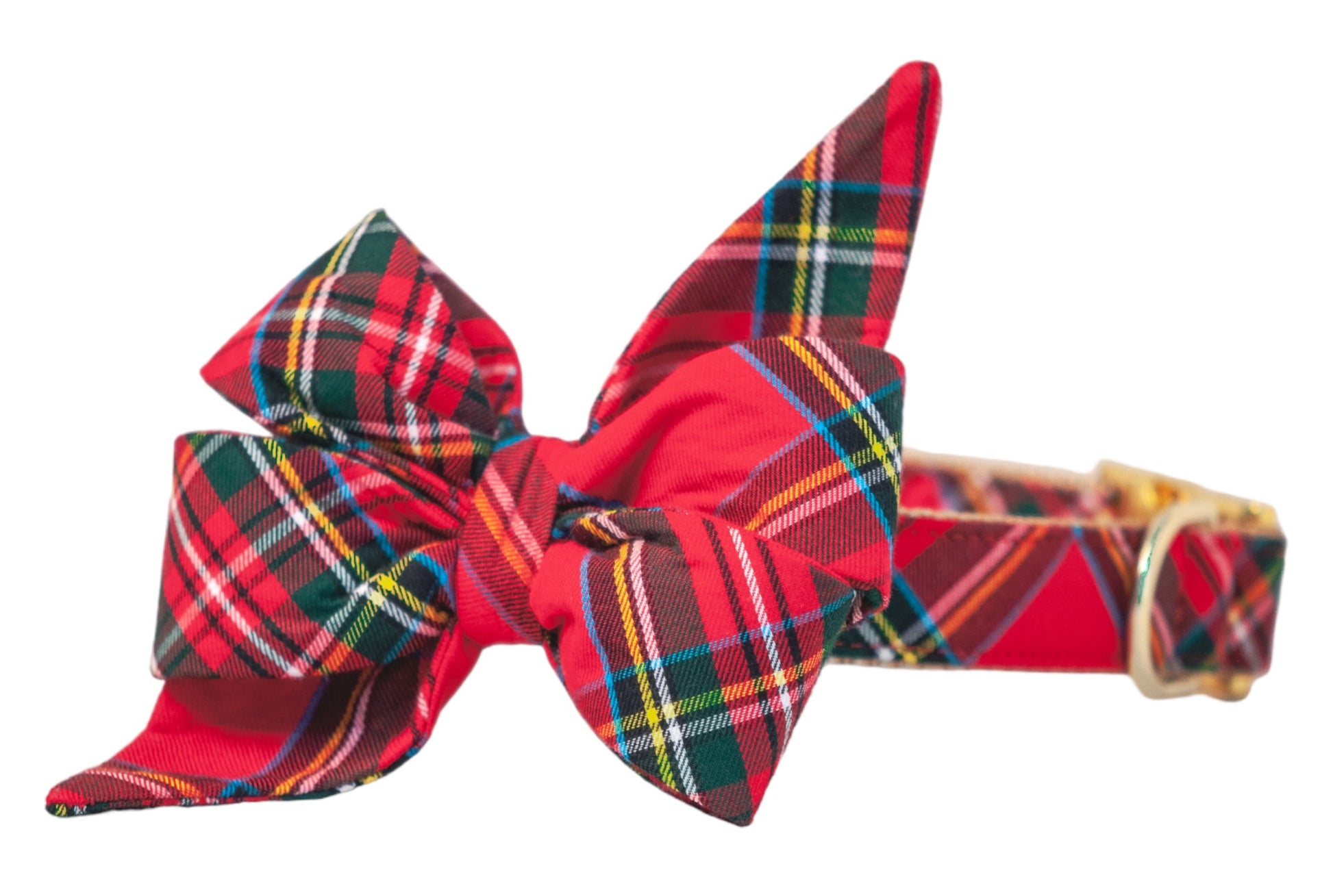 Scottish Tartan Belle Bow Dog Collar - Crew LaLa