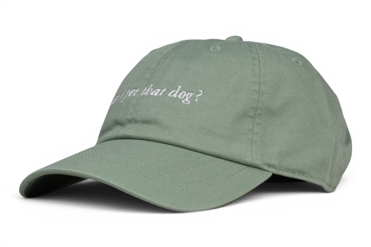 Green can i pet that dog? Baseball Hat