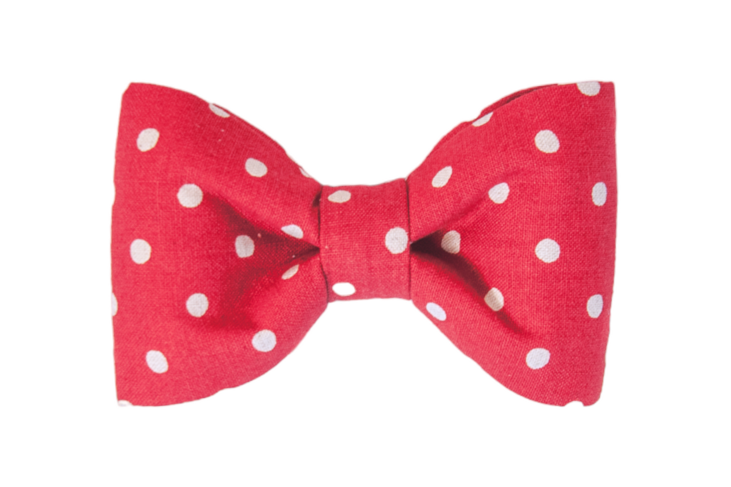Ivory Dot on Red Bow Tie - Crew LaLa