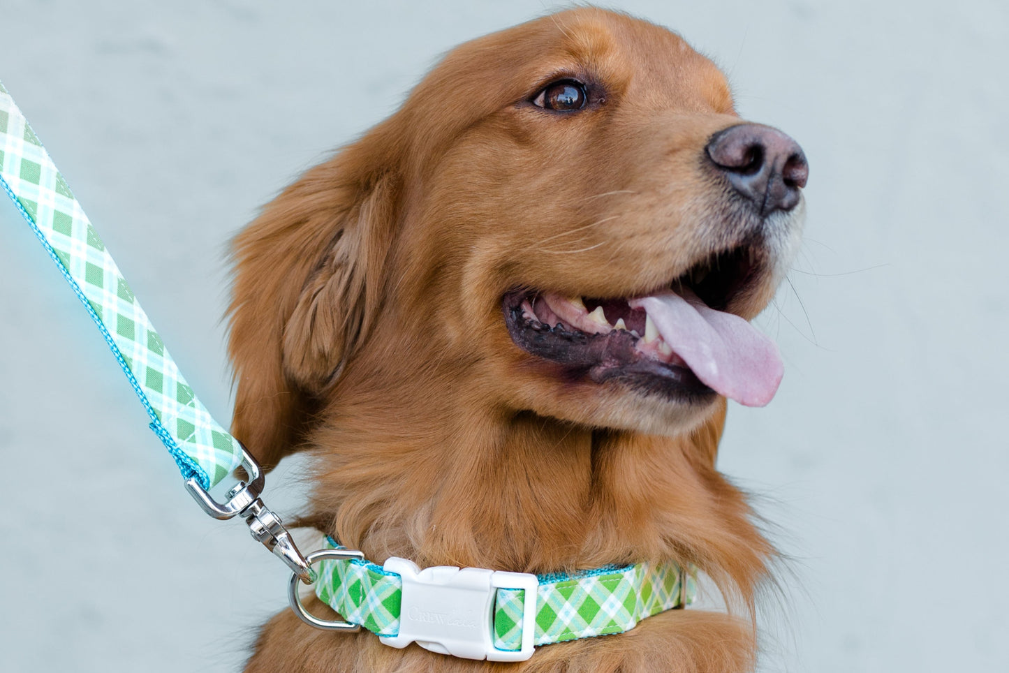 Limeade Plaid Dog Collar
