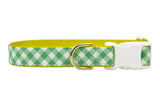 Matching Leash