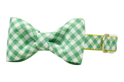 Augusta Green Bow Tie Dog Collar - Crew LaLa