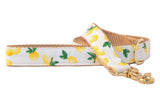 Make Lemonade Dog Leash