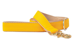 Golden Yellow Dog Leash