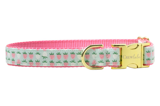 Mint Strawberries Dog Collar - Crew LaLa