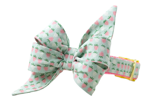 Mint Strawberries Belle Bow Dog Collar - Crew LaLa