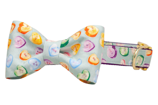 Sweet Talk Bow Tie Dog Collar