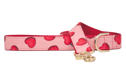 Cupids Arrow Dog Leash - Crew LaLa