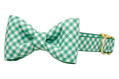 Garden Lattice Bow Tie Dog Collar - Crew LaLa