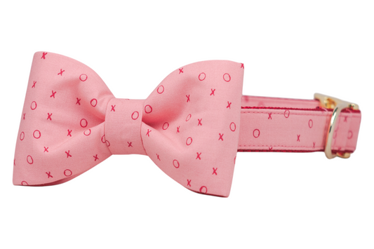 XOXO Bow Tie Dog Collar