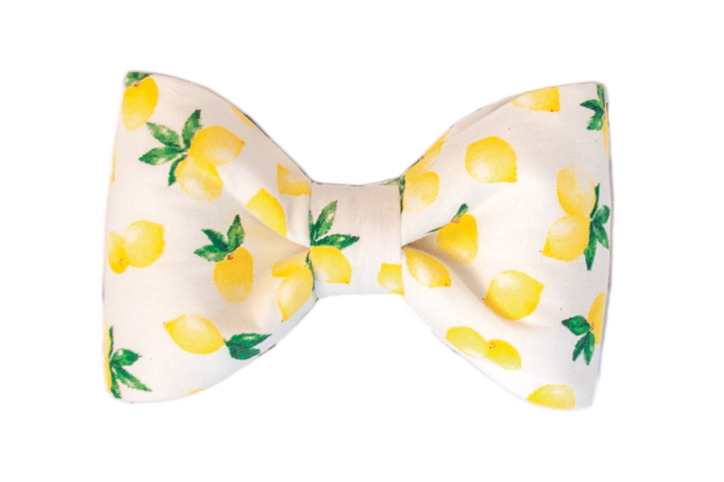 Make Lemonade Bow Tie