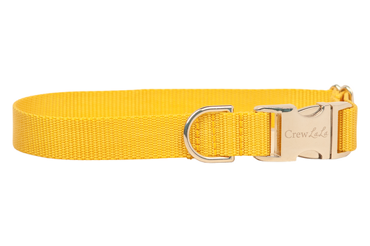 Mustard Yellow Webbing Collar - Crew LaLa