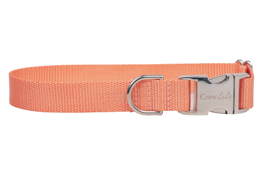 Tangerine Webbing Collar - Crew LaLa