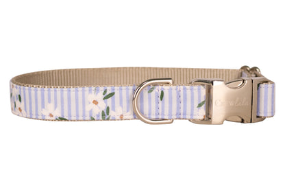 A dog collar with light blue and white vertical stripes, decorated with small white flowers and green leaves, featuring a beige woven backing and silver-tone hardware.