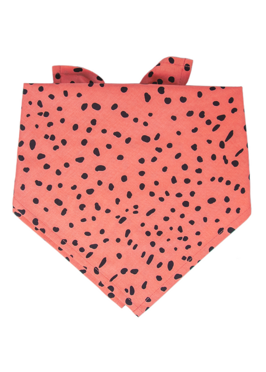 Rosy Pebbles Dog Bandana - Crew LaLa