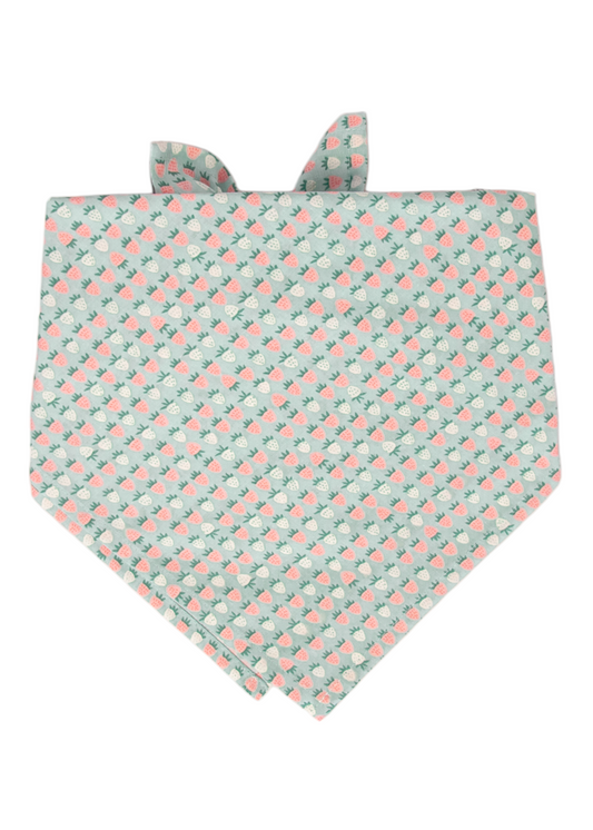 Mint Strawberries Dog Bandana - Crew LaLa