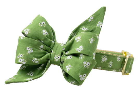 Olive Blooms Belle Bow Dog Collar - Crew LaLa