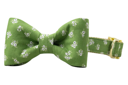 Olive Blooms Bow Tie Dog Collar - Crew LaLa