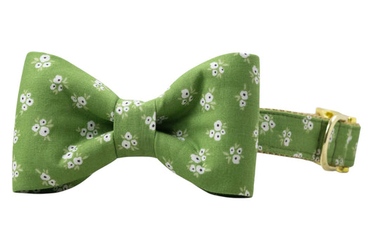 Olive Blooms Bow Tie Dog Collar - Crew LaLa