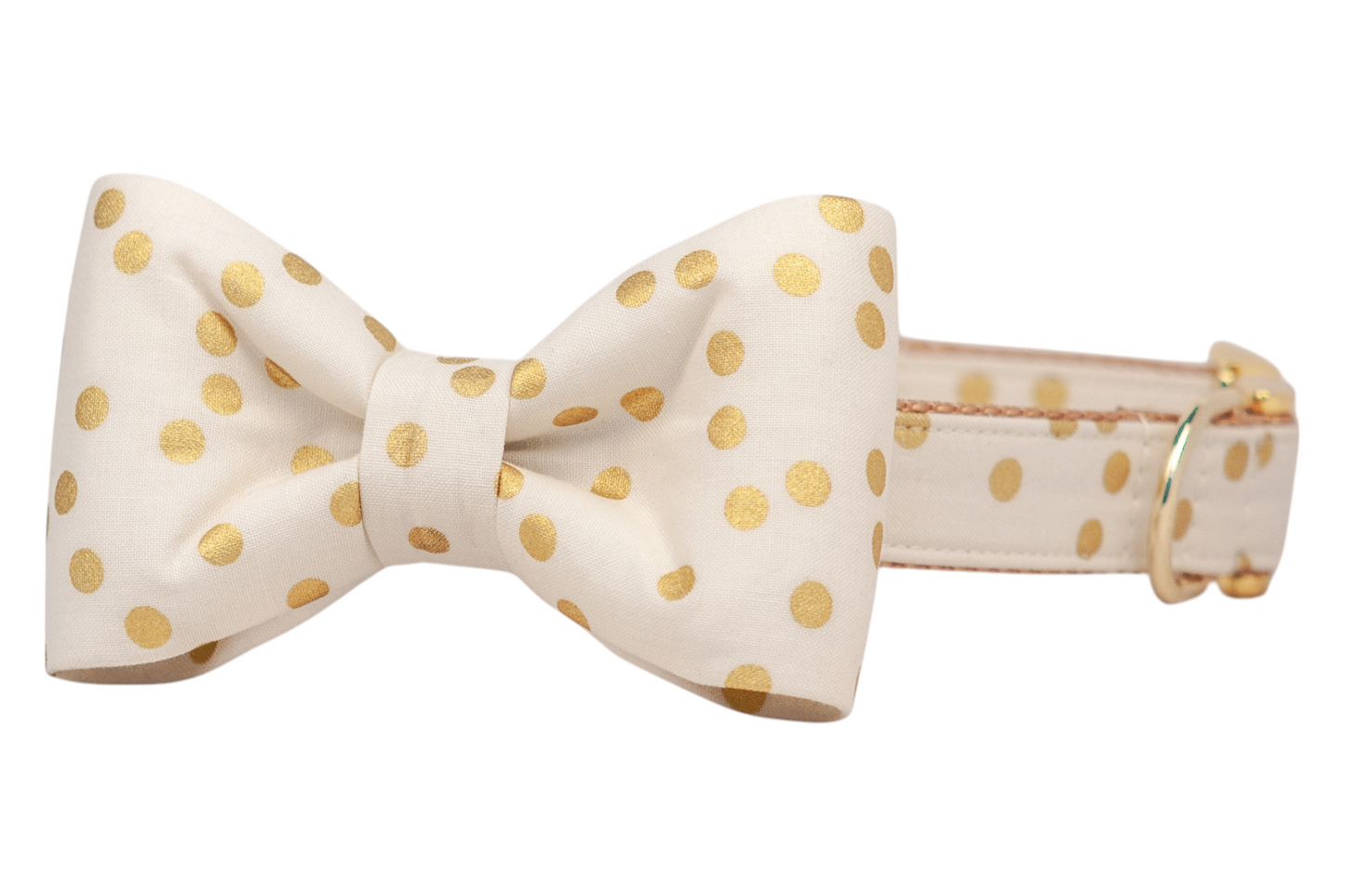 Ivory Party Dot Bow Tie Dog Collar
