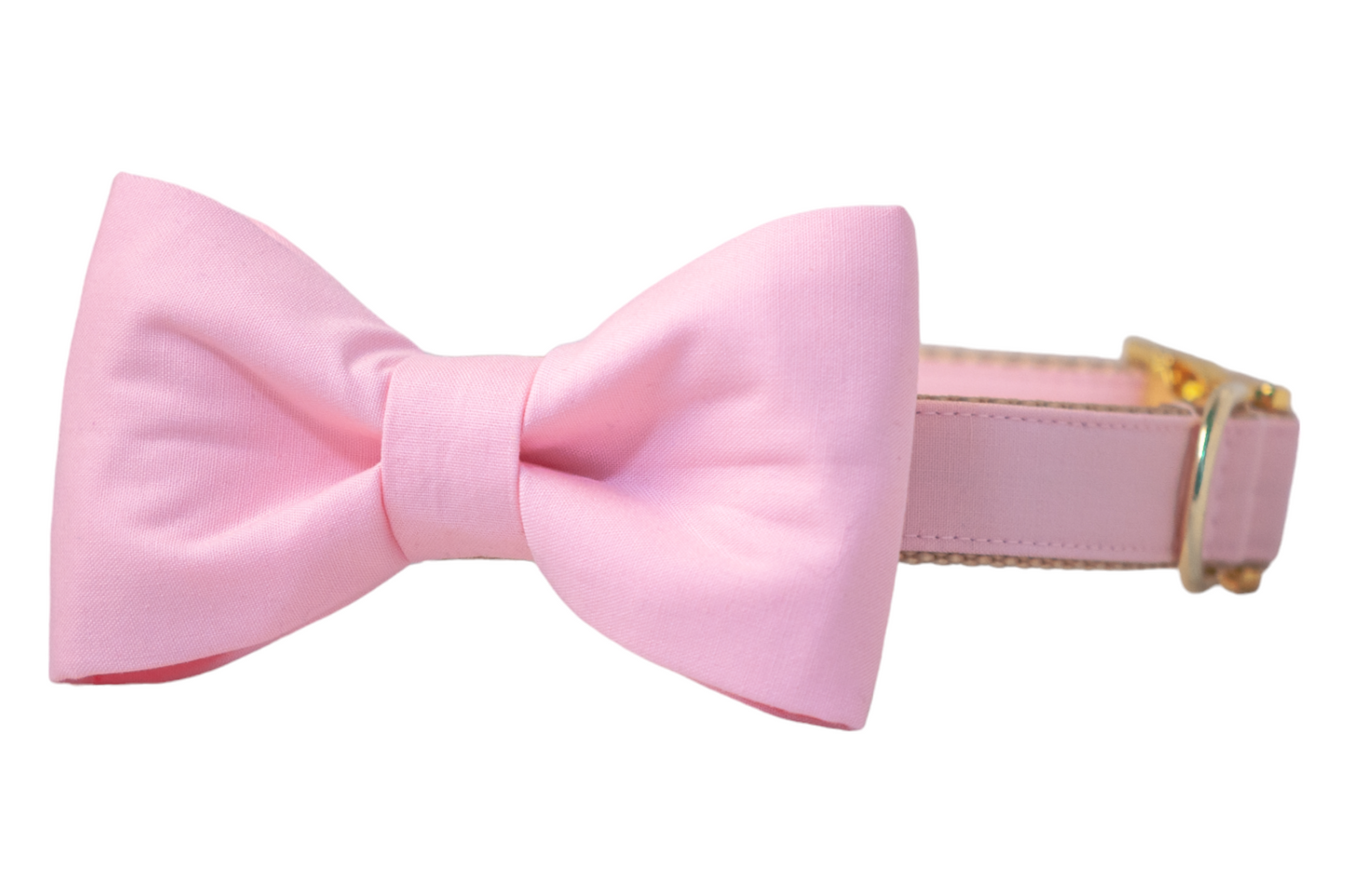 Blush Pink Bow Tie Dog Collar - Crew LaLa