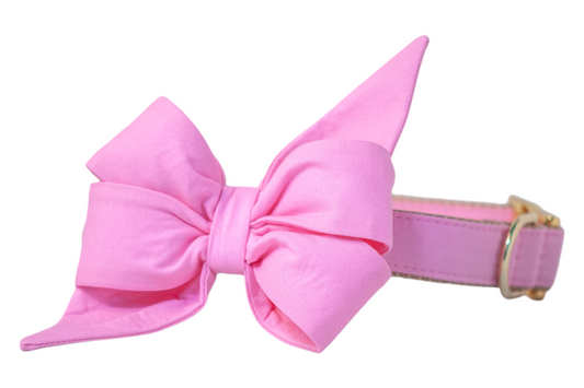 Carnation Pink Belle Bow Dog Collar - Crew LaLa