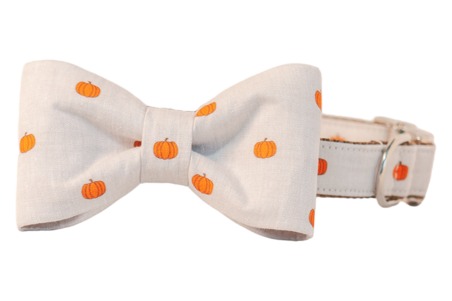 Pumpkin Patch Bow Tie Dog Collar - Crew LaLa