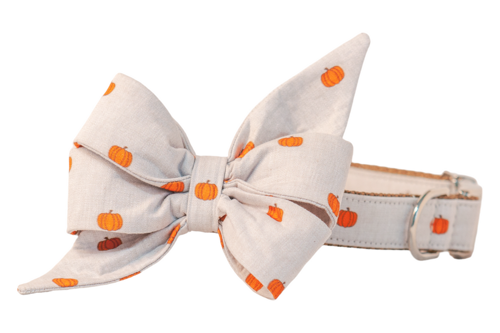 Pumpkin Patch Belle Bow Dog Collar