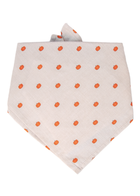 Pumpkin Patch Dog Bandana - Crew LaLa