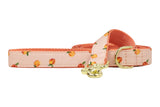 Carolina Peach Dog Leash